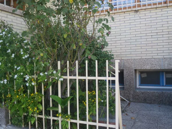 Casa o chalet independiente en Calle Góngora, 1 - Foto 18
