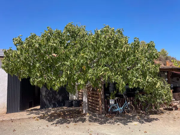 Casa rural en Unnamed Road s/n - Foto 28