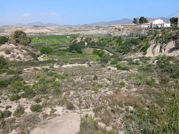 Cortijo en Barriada las Cunas s/n - Foto 14