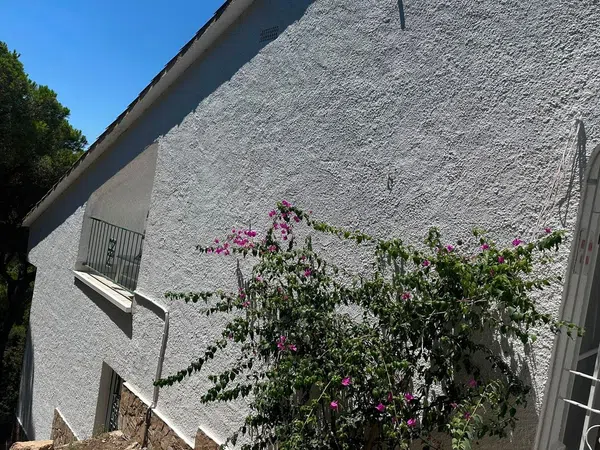 Casa o chalet independiente en Calle del Fonoll, 11, Serra Brava, Serra Brava - Foto 30