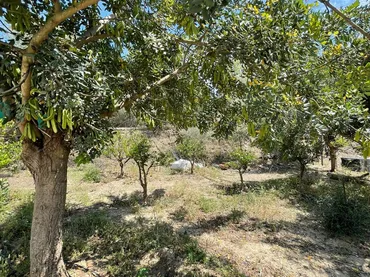 Finca rústica en   de las parcelas - Foto 73