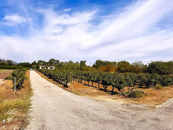 Finca rústica en Unnamed Road s/n - Foto 37