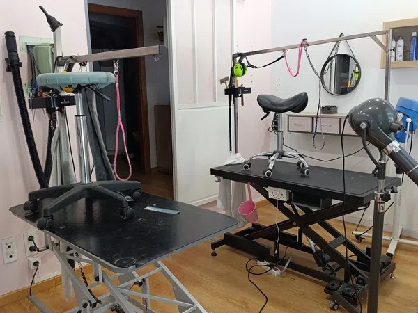Local en Peluquería en Avenida Alcalde Gregorio Espino, 48, Casablanca - Calvario - Foto 7