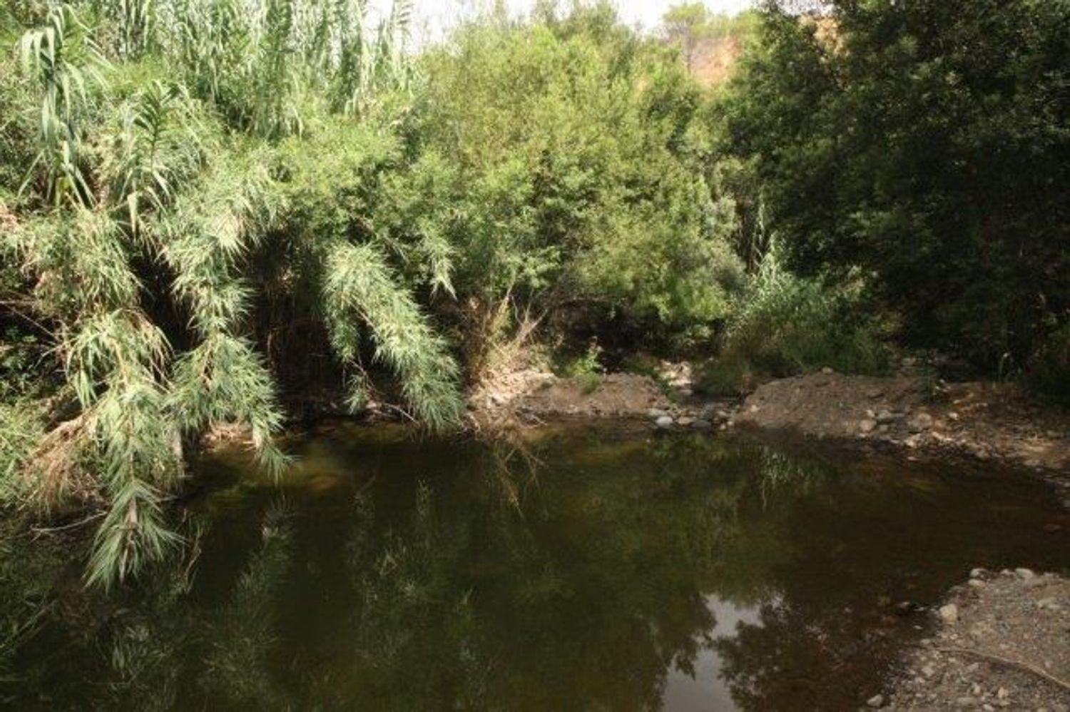 Casa rural en Camino Diseminado Entrerrios, 62, Valtocado - La Alquería - La Atalaya, Valtocado - La Alquería - La Atalaya - Foto 6
