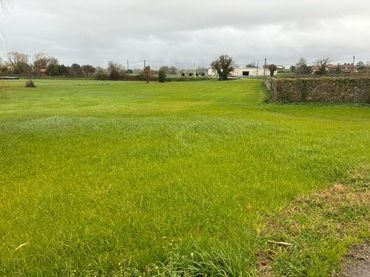 Terreno Residencial en  Calle el Hoyo 0 - Foto 4