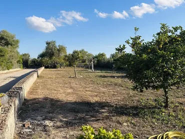 Finca rústica en  Camí de Ferrutxelles 506 - Foto 15