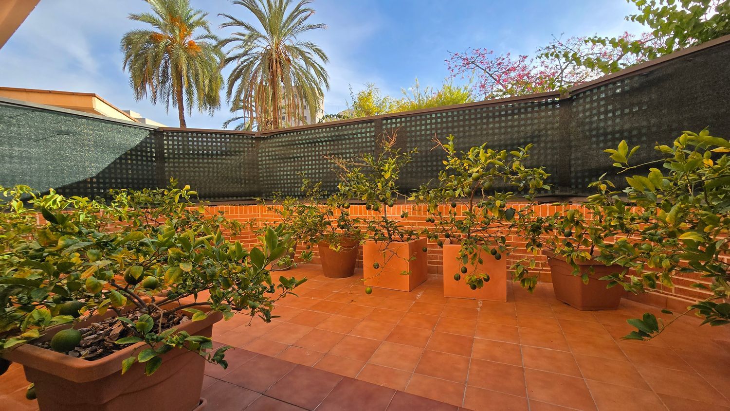 Piso en Calle Migjorn, 5, Alitana - Casablanca - Foto 23