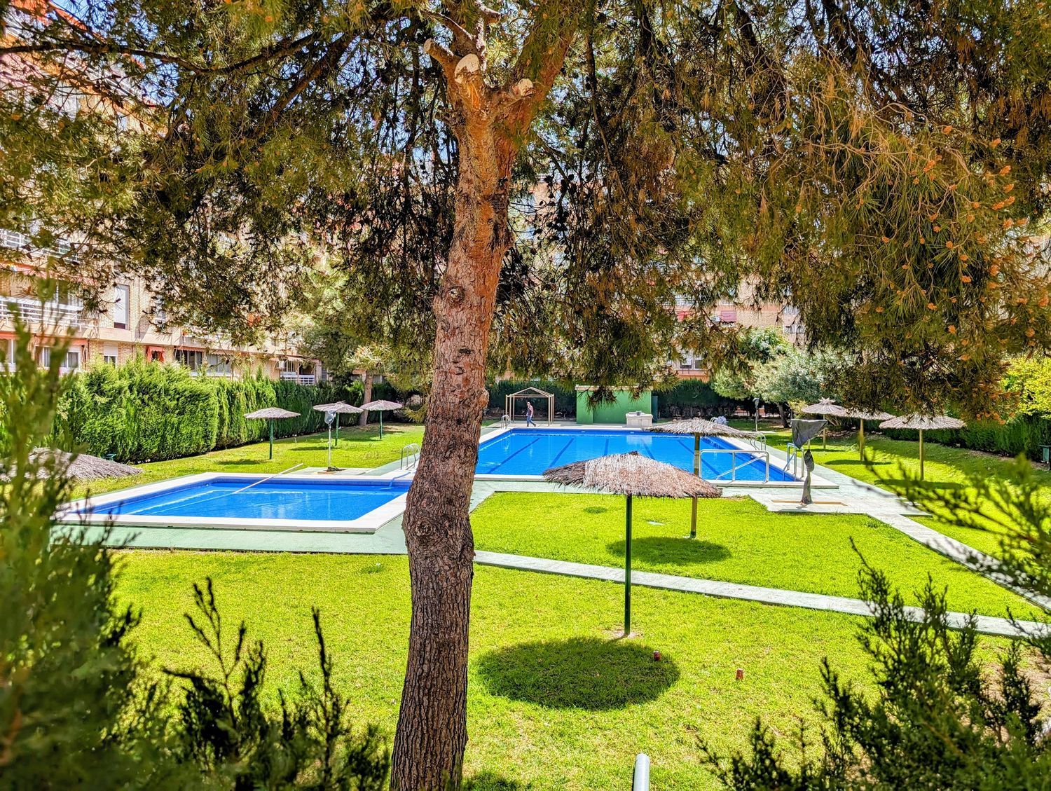 Piso en Avenida de Aguilera, 46, Alipark - Foto 13