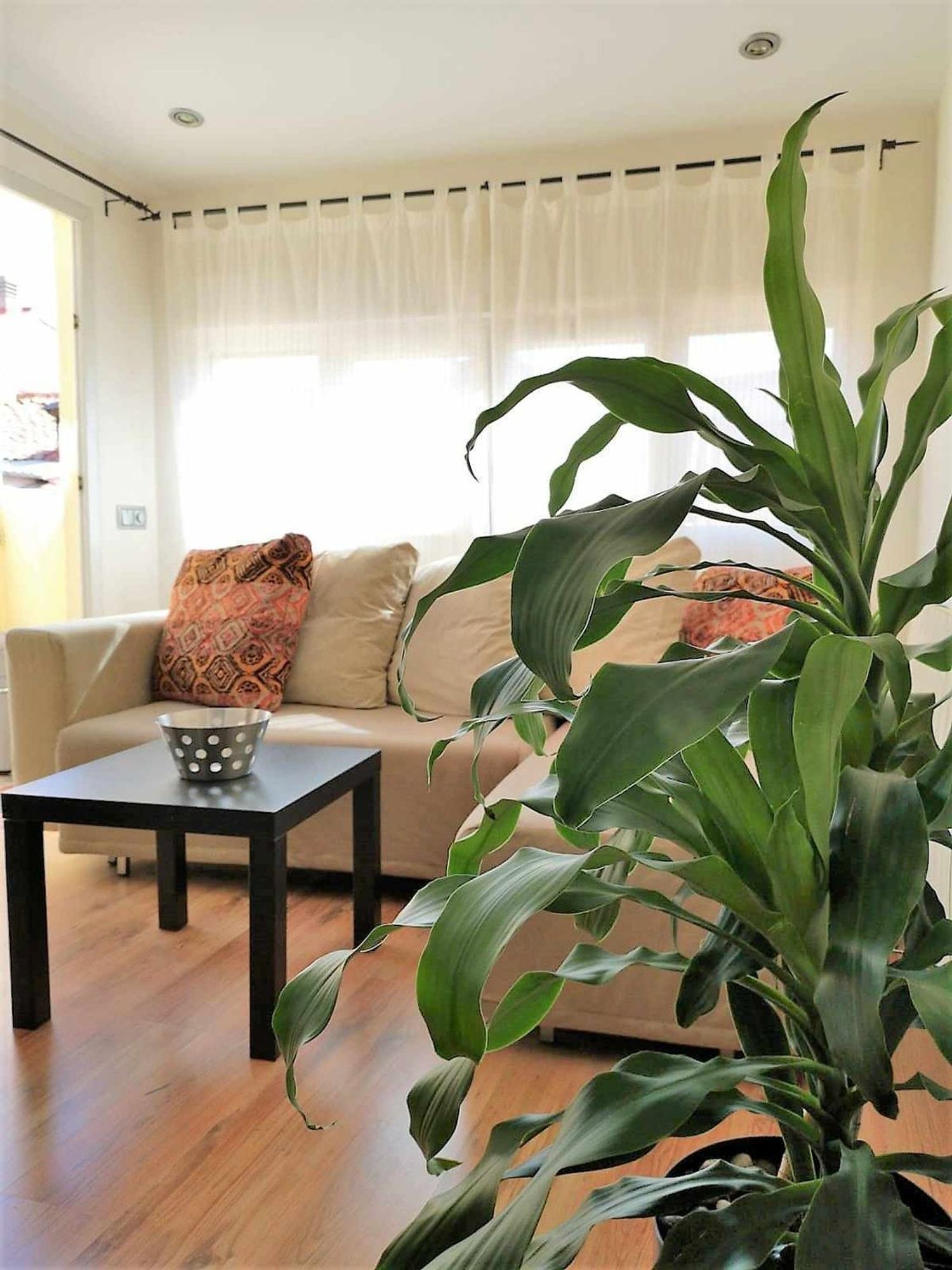 Ático en calle de la Paloma, 6 - Foto 1