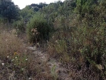 Finca rústica en  Diseminado Presa el Villar 1A - Foto 7