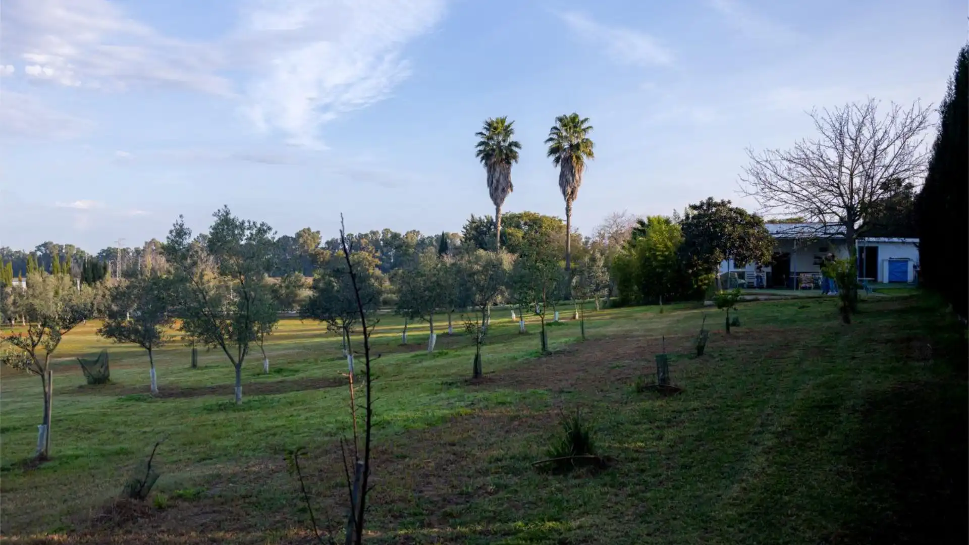 Finca rústica en  Calle Almenara 1 - Foto 26