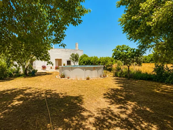Casa o chalet independiente en N-301 s/n - Foto 4