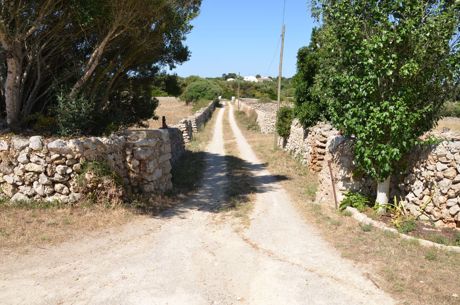 Finca rústica en Carretera Cala en Porter s/n - Foto 14