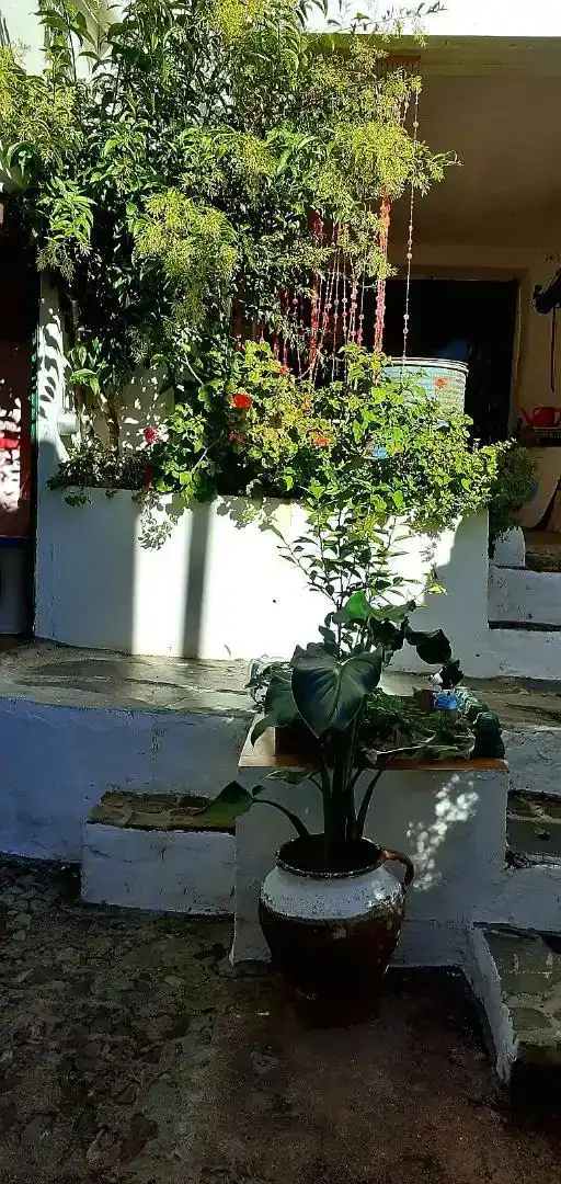 Finca rústica en  Avenida Santa Marina 14 - Foto 10