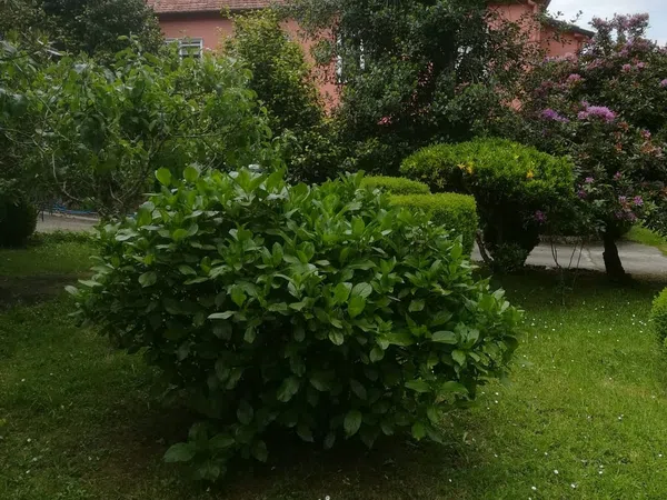 Piso en Valado, 2 - Foto 32