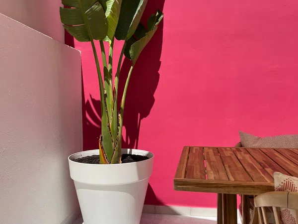 Piso en calle de Sant Bartomeu, 1 - Foto 2