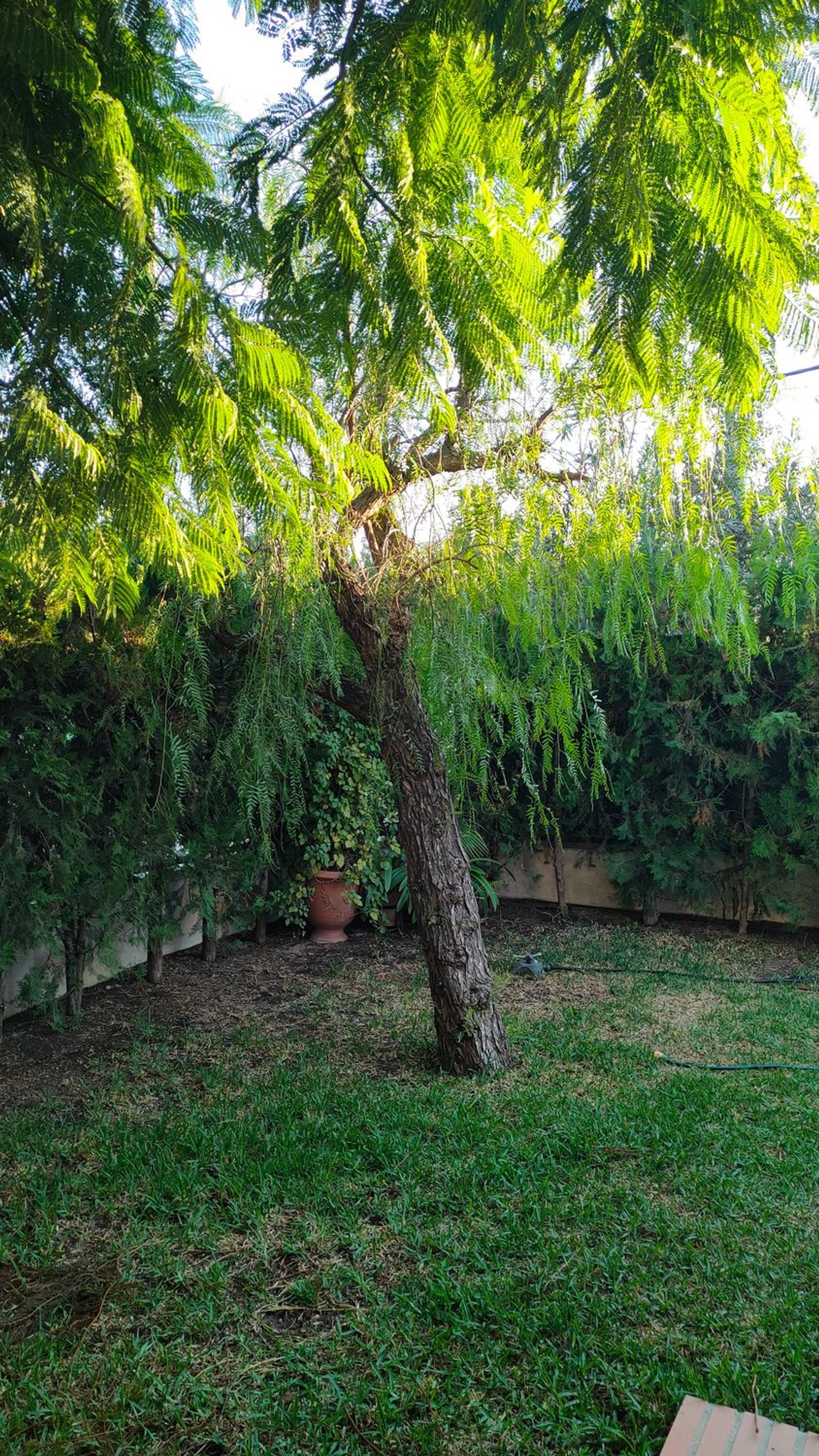 Chalet pareado en Rotonda de la Puntilla, 8, Crevillet - Foto 6