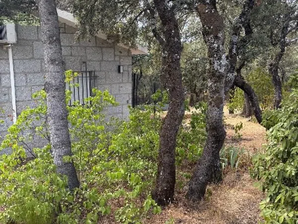 Casa o chalet independiente en Las Zorreras - Monte Encinar, Las Zorreras - Monte Encinar - Foto 4