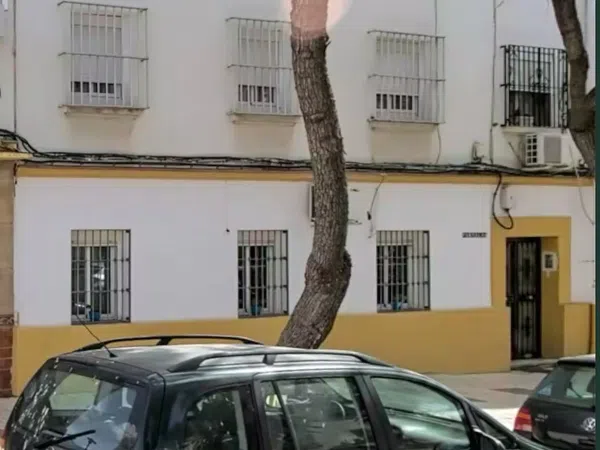 Piso en Carranque - Haza Cuevas, Carranque - Haza Cuevas - Foto 1