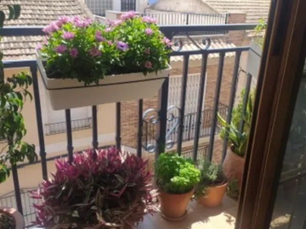 Ático en calle Pedro García Villalba, 40 b - Foto 4