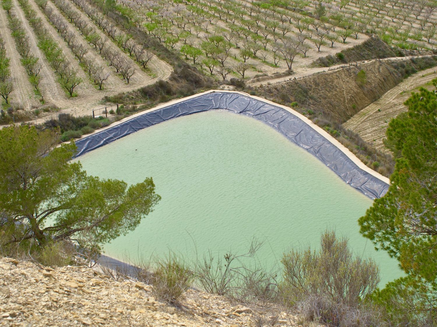 Casa independiente en Partida Almadrava, 1 - Foto 40