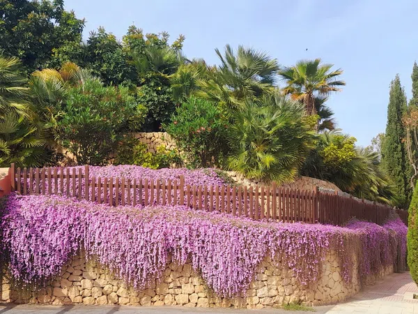 Casa independiente en calle del Vespre, 9 -11 - Foto 29