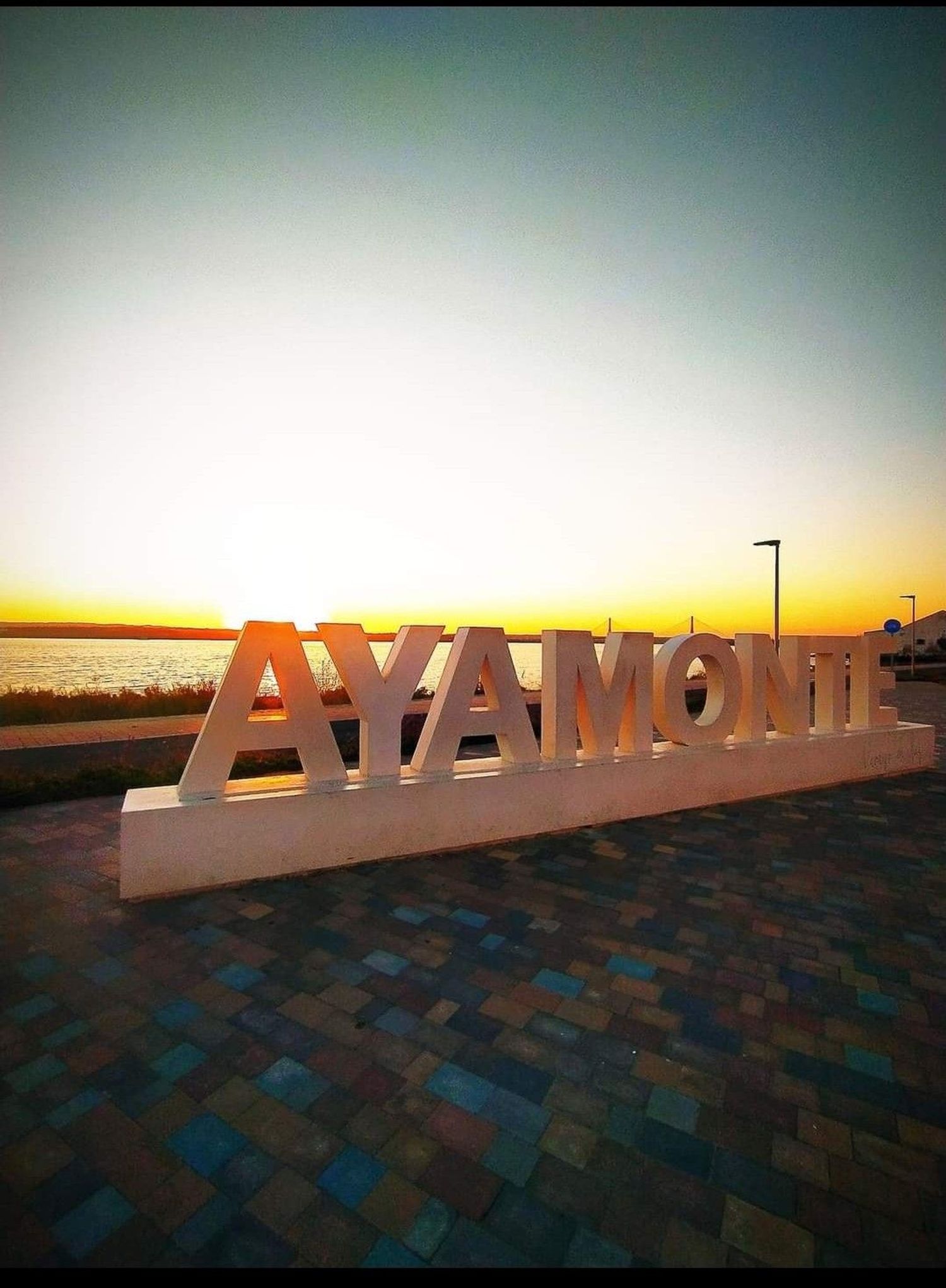Chalet adosado en Avenida de la Palmera, 5 - Foto 4