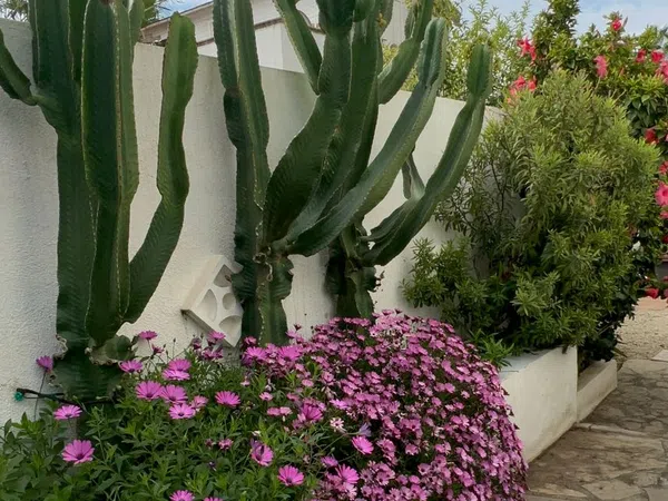 Casa o chalet independiente en Avenida de la Marina, 217, La Fustera, La Fustera - Foto 5