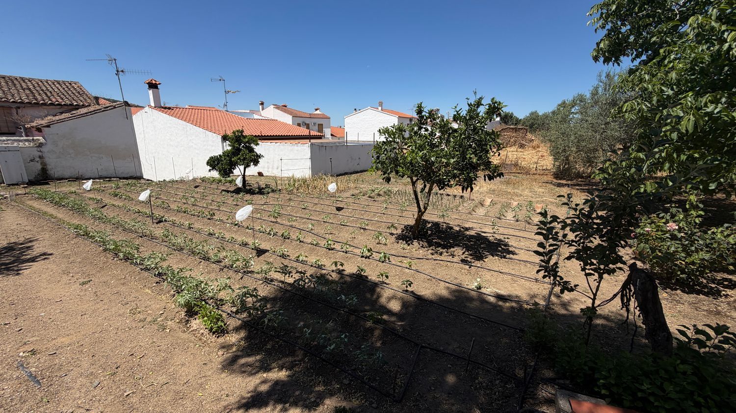 Casa de pueblo en sevilla, 51 - Foto 21