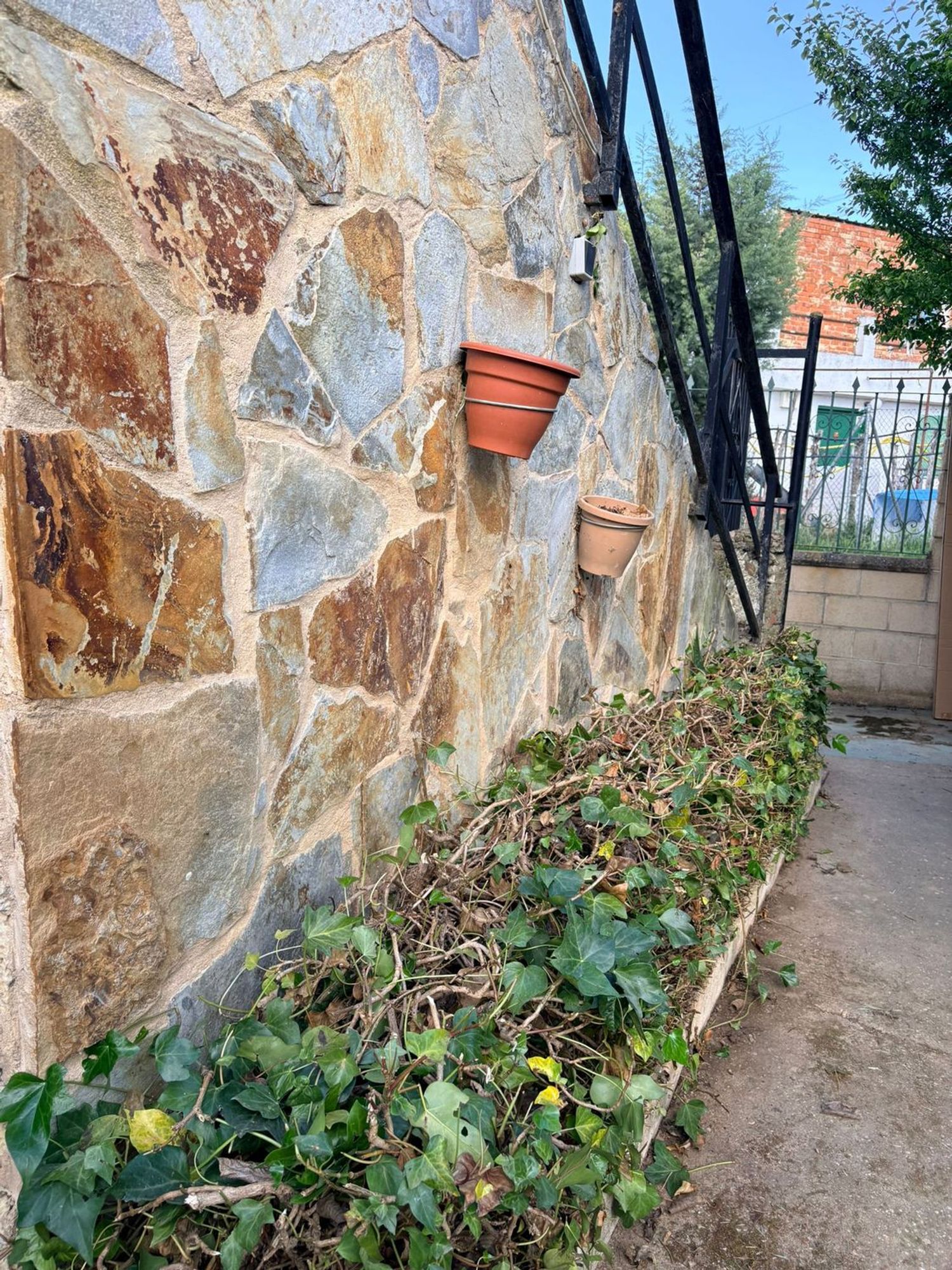 Finca rústica en Diseminado Bodegas, 1 - Foto 17