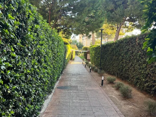 Piso en Avenida de Playamar, 70, Playamar - Benyamina - Foto 32
