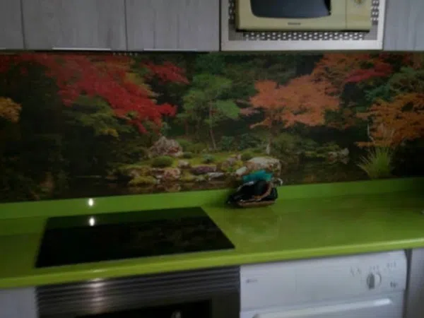 Piso en calle Emili Darder, 55 - Foto 9