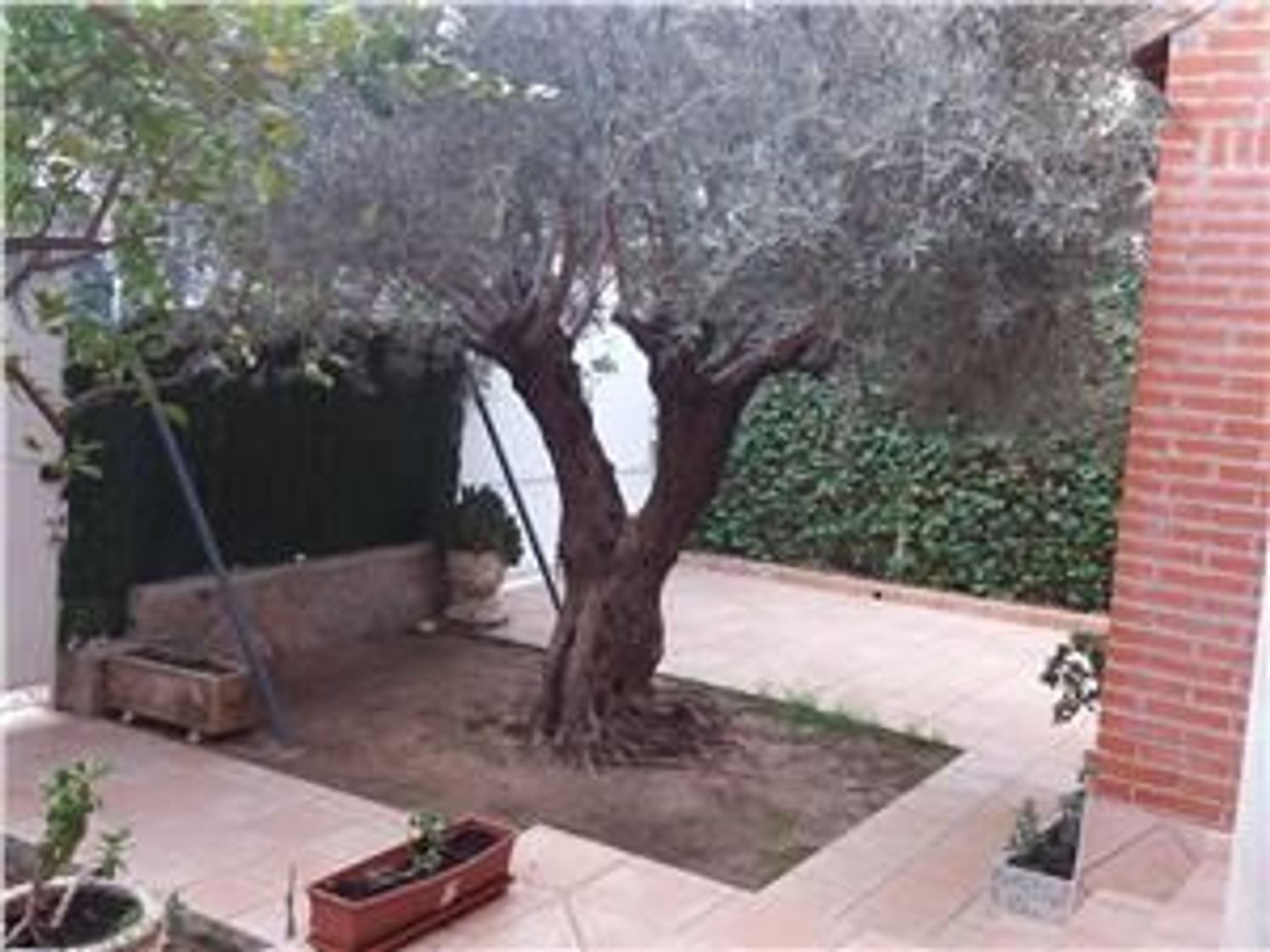 Chalet adosado en Calle Vicente Medina, 28, La Alberca - Foto 3