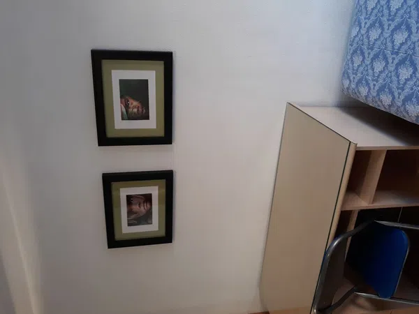 Estudio en calle Luis Sala Balust, 30 - Foto 7