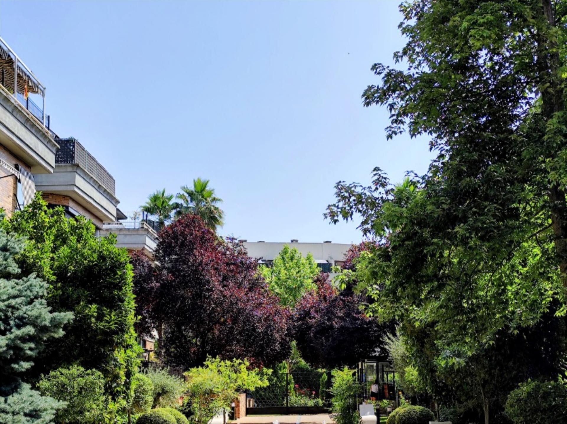 Piso en  Calle Castillo de Belmonte 1 - Foto 30