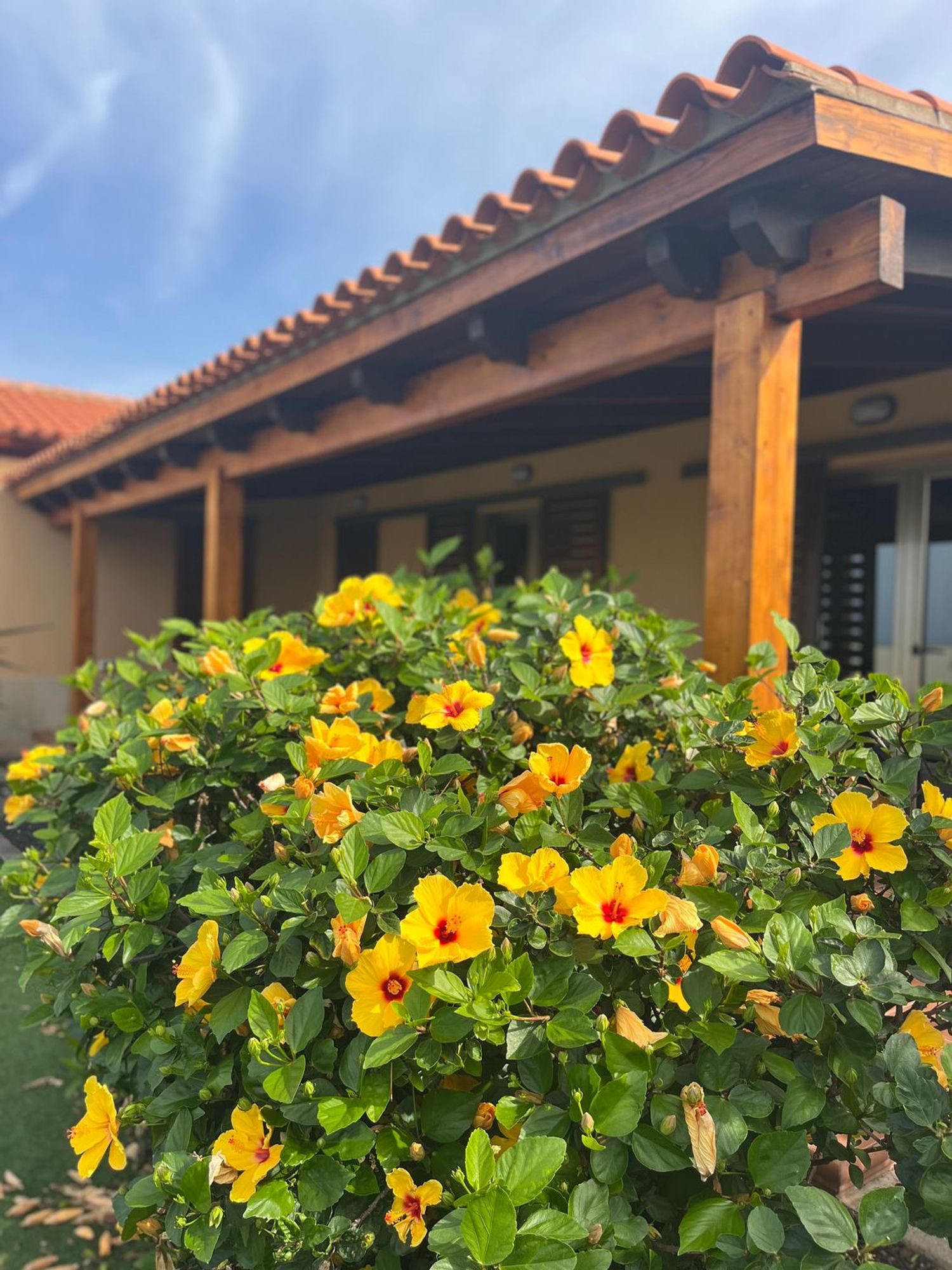 Casa independiente en pasaje Roque Nublo, 11 - Foto 5