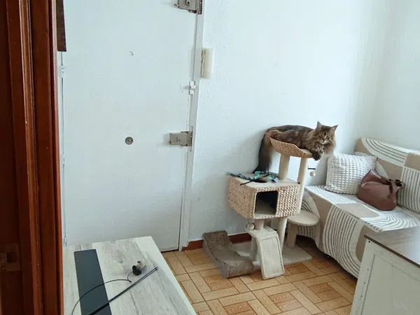 Piso en Calle de Menorca, 20, Ibiza - Foto 10