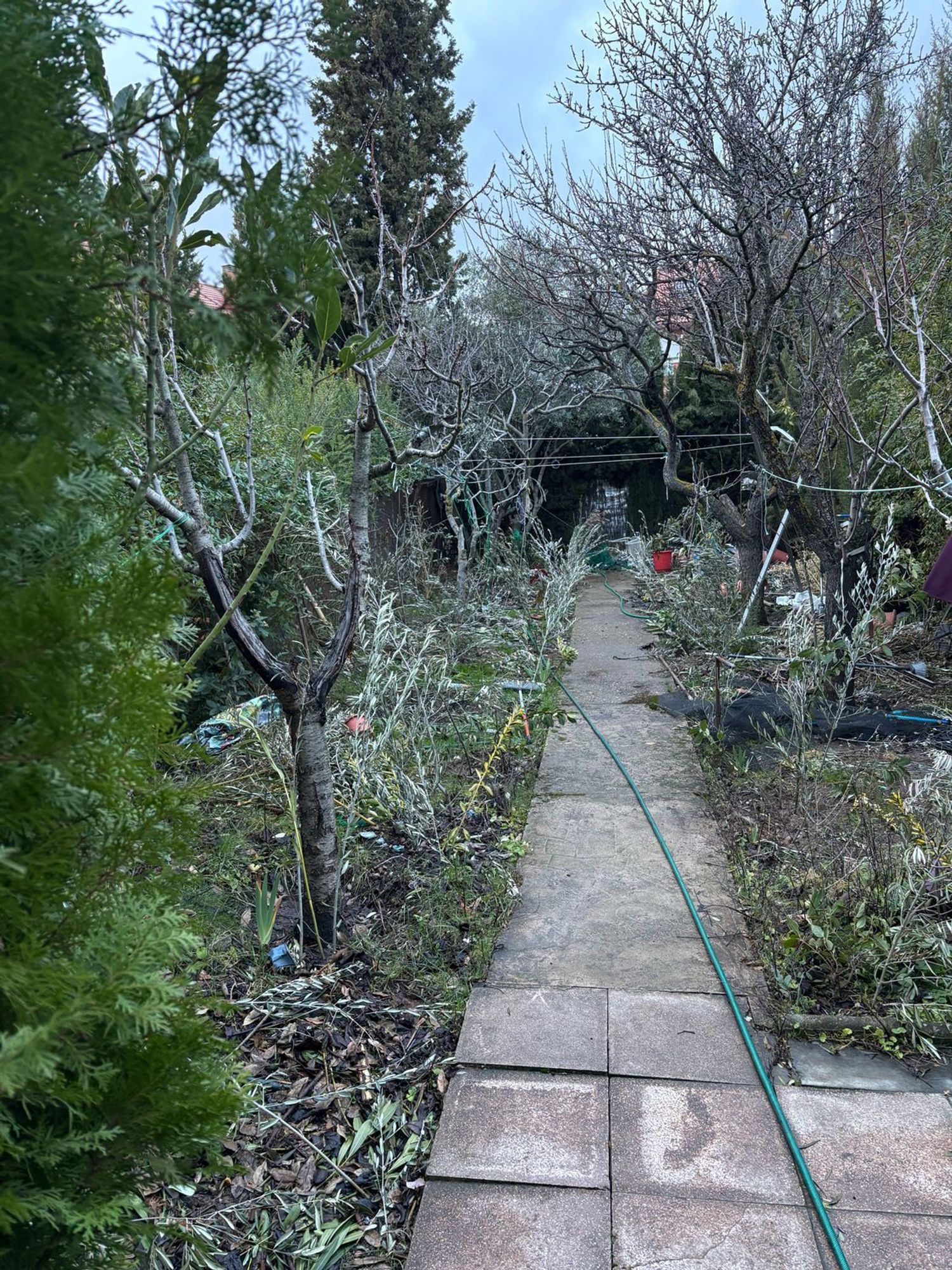 Chalet adosado en El Pilar - Bripac - Foto 10