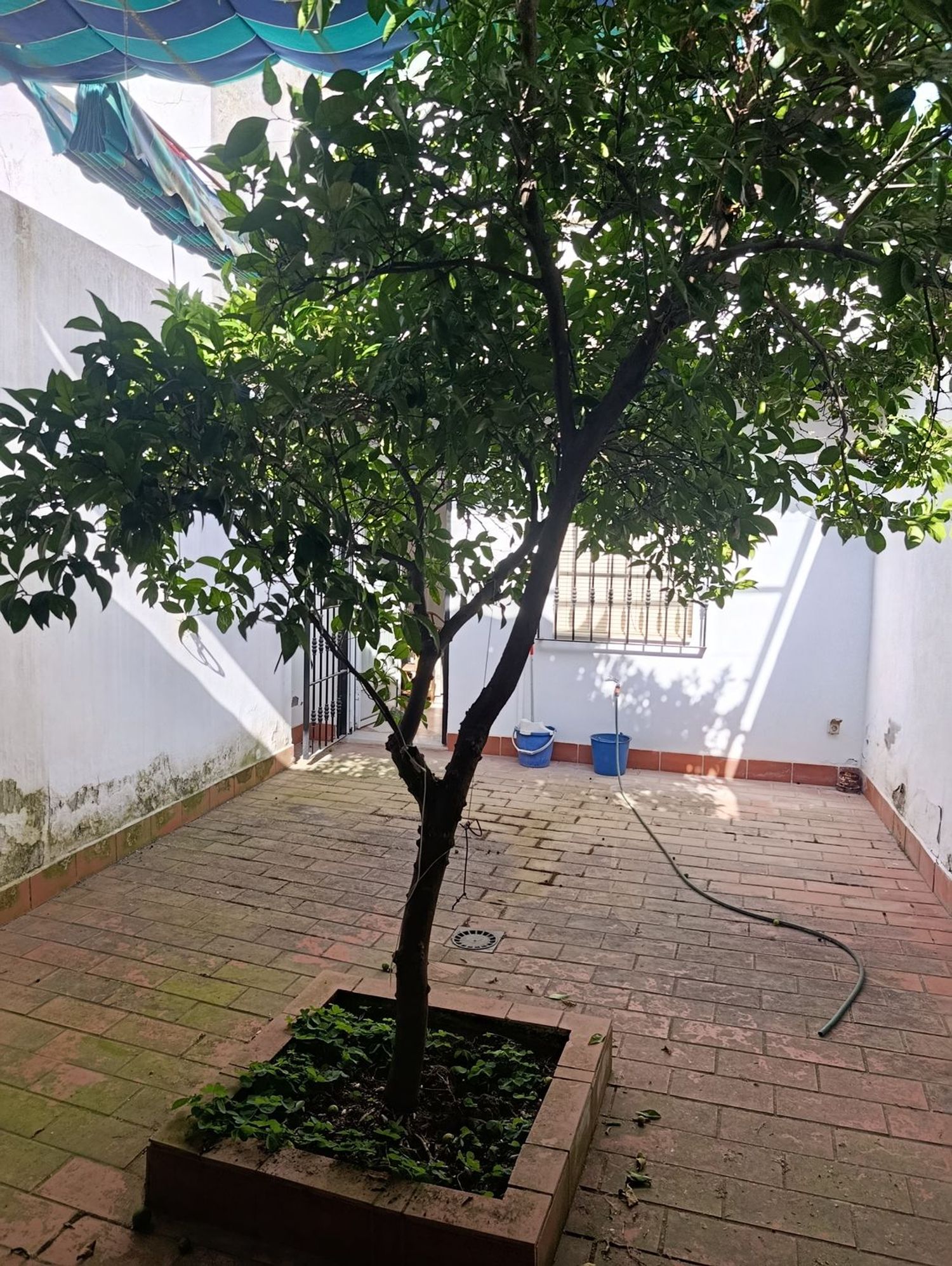 Chalet adosado en Calle los Molinos s/n - Foto 20