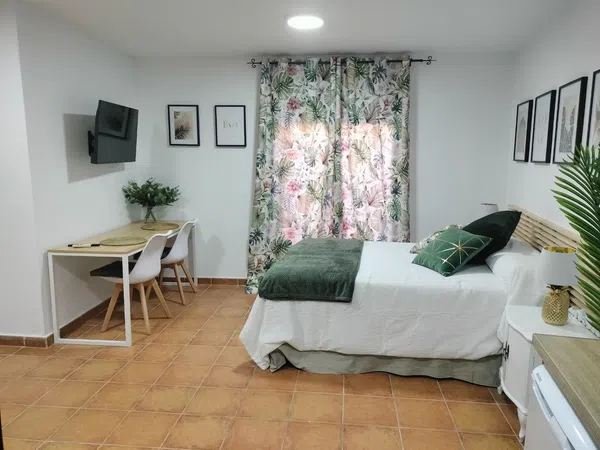 Estudio en Calle Portilla, 9, Casco Histórico, Casco Histórico - Foto 20