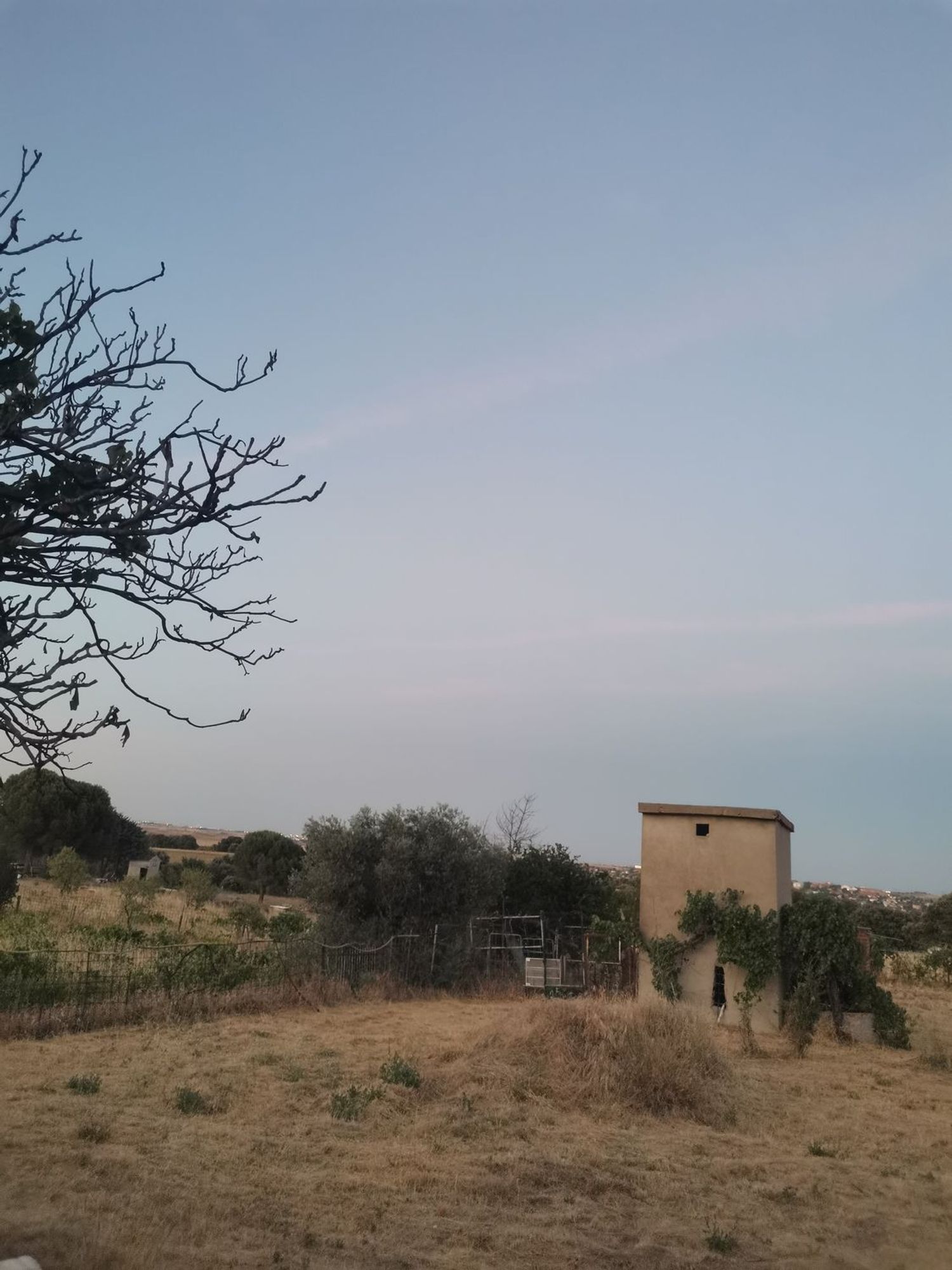 Casa o chalet independiente en Camino de casa Roque, 2, La Dehesa - El Pinar, La Dehesa - El Pinar - Foto 15