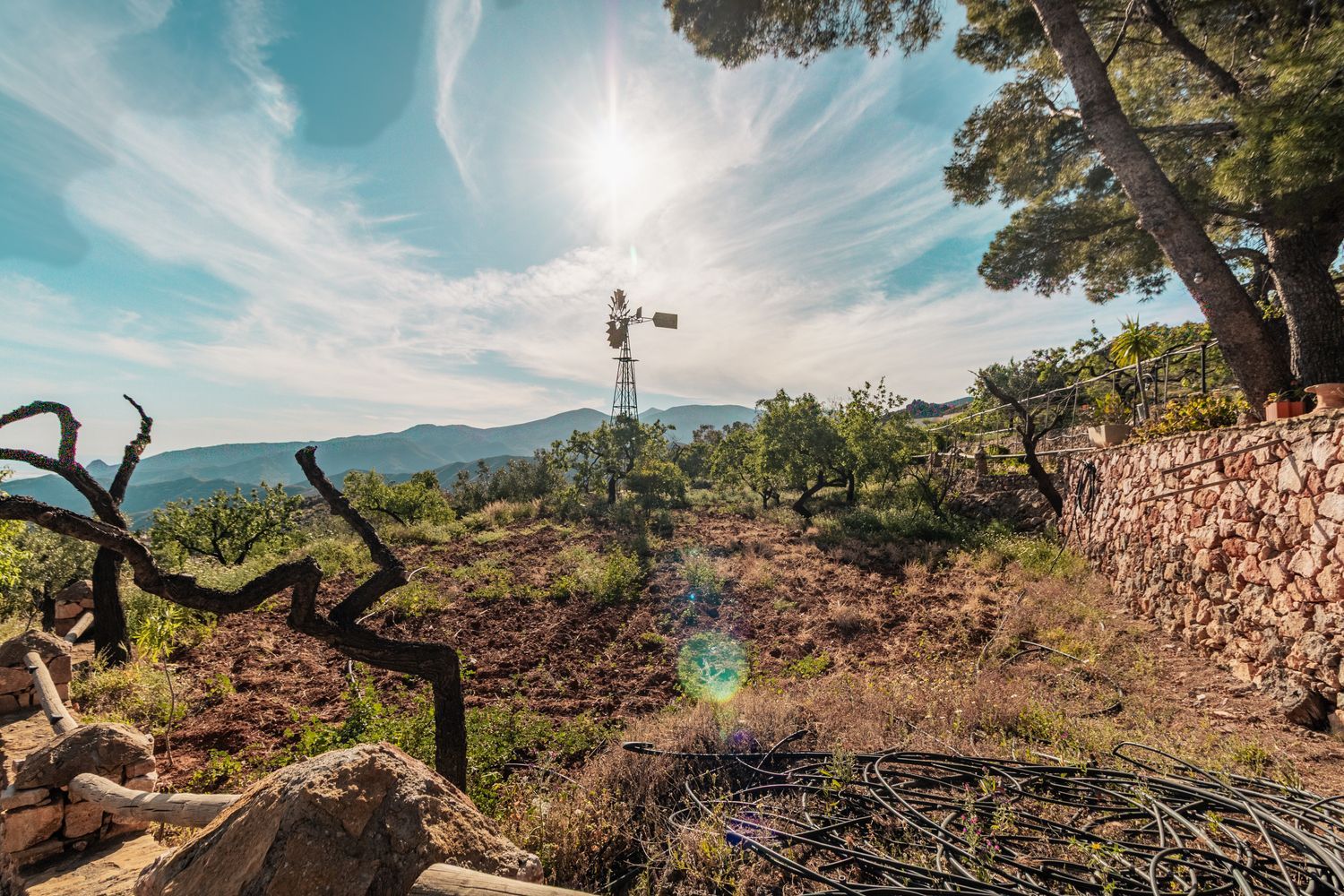 Cortijo en Pista Forestal Felix s/n - Foto 14