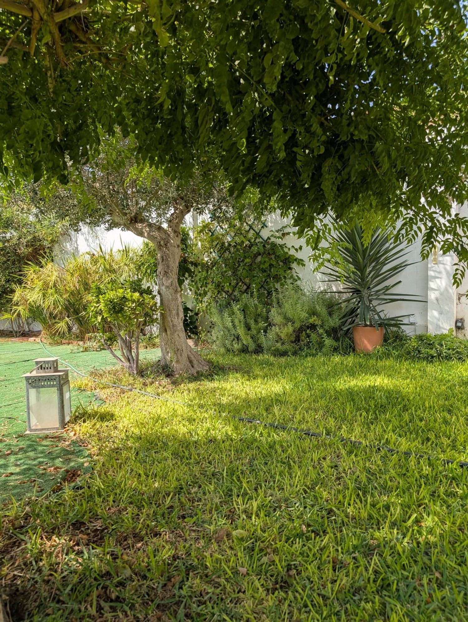 Casa o chalet independiente en Urb. Las Luisas, 30, La Hacienda - Nueva Andalucía, La Hacienda - Nueva Andalucía - Foto 9