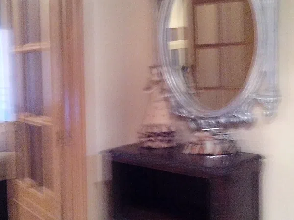 Piso en calle científico jaime santana, 1 - Foto 10