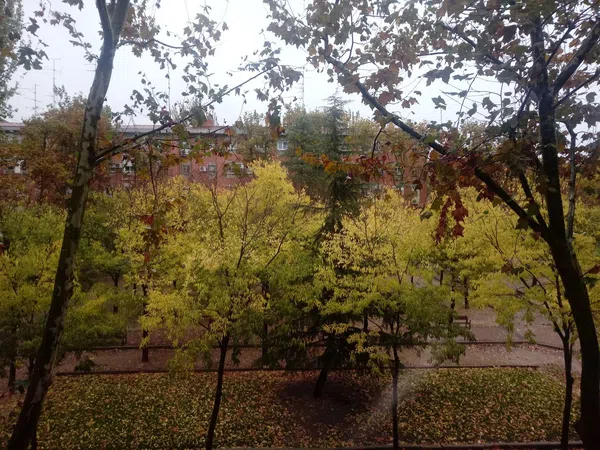 Piso en calle de la Encomienda de Palacios, 117