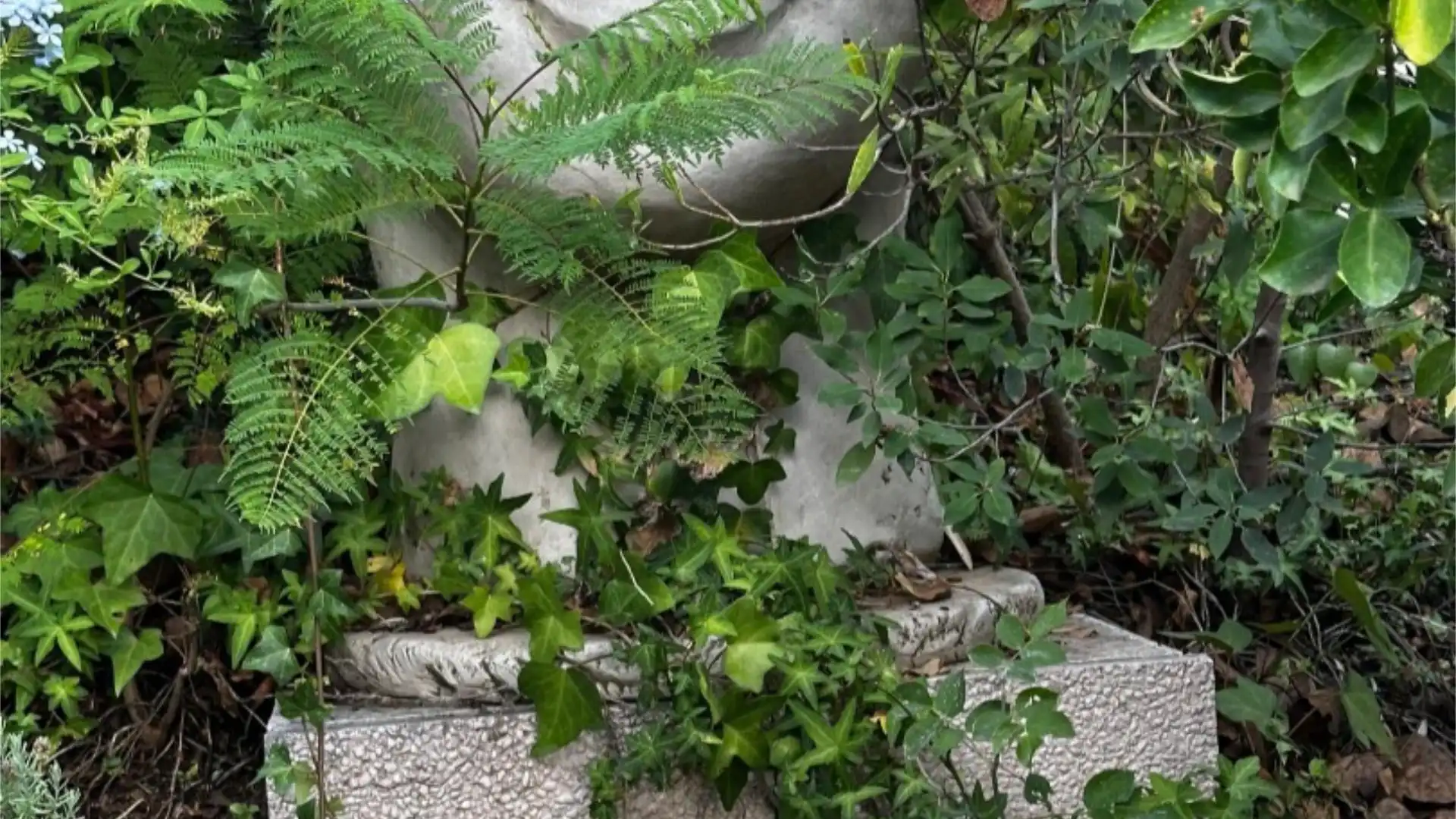 Chalet en  Calle de la Palmera 6 - Foto 43