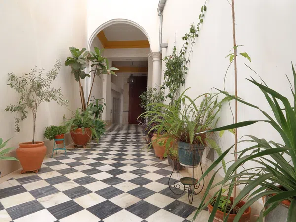 Piso en Calle Muro de San Julián, 27, Centro Histórico - Foto 18