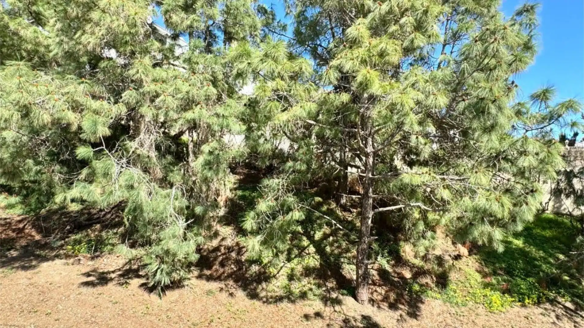 Casa adosada en  Calle Guarás 4 - Foto 13