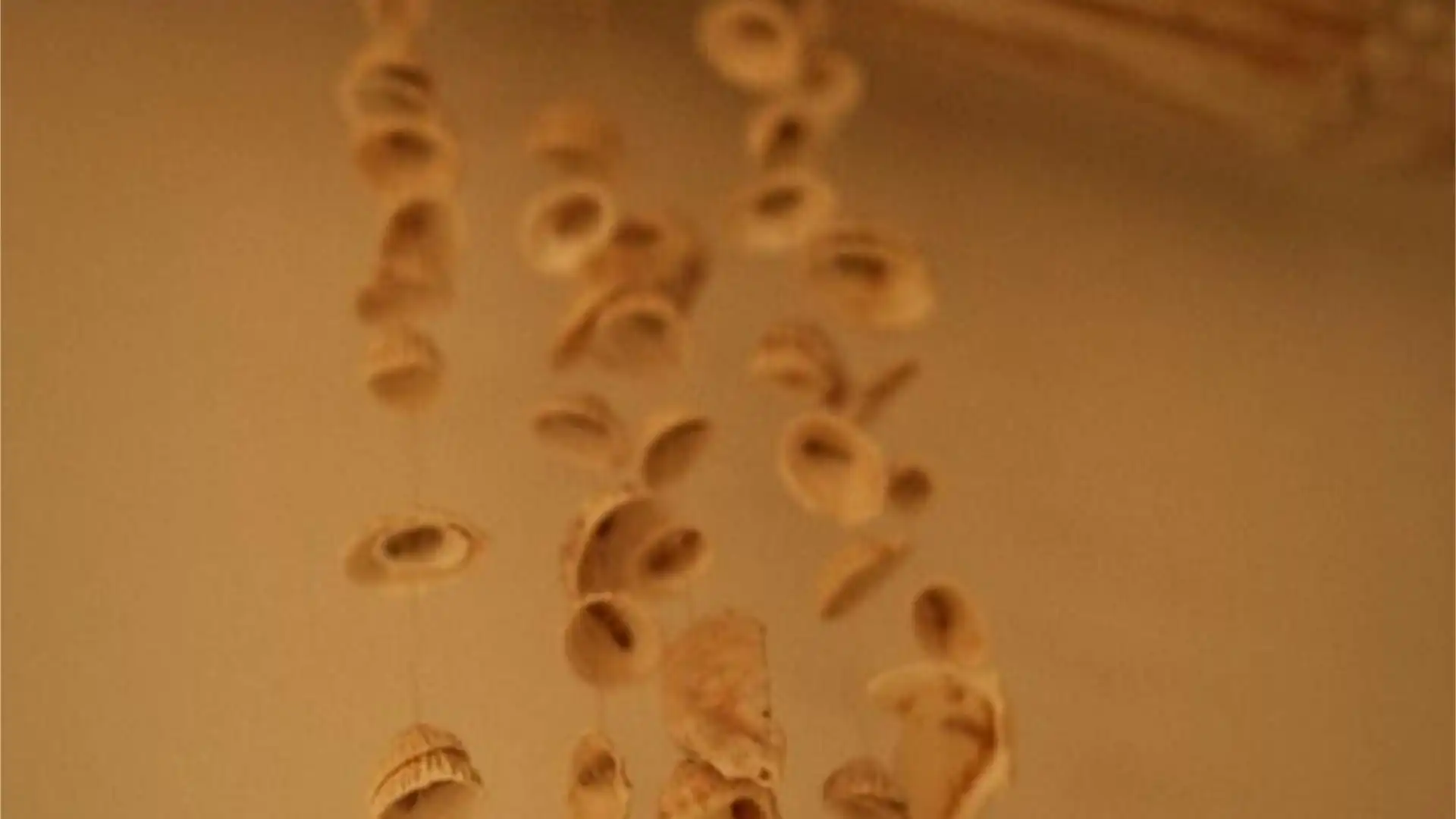 Loft en  Calle Campoamor 1 - Foto 15