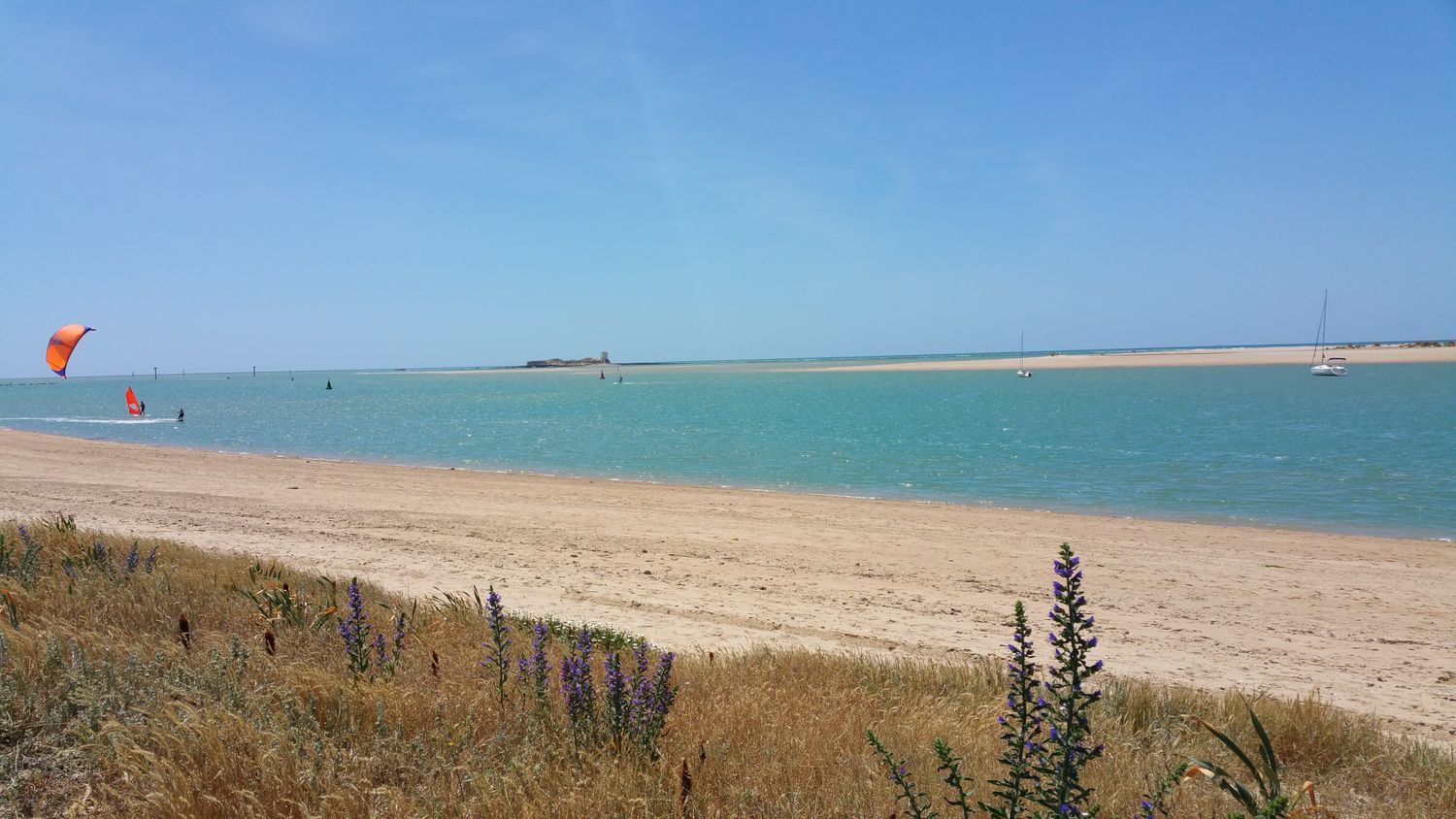 Casa independiente en calle Codorniz, 510 - Foto 33